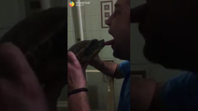 юмор в Телеграмме в описании