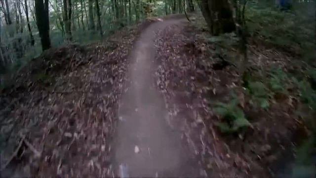 Gorky Bike Park Зеленая трасса