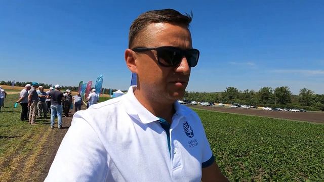 День поля Рапса в Липецкой области