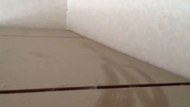 Это правда реал ДОМОВОЙ