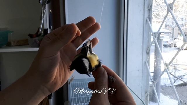 Помогите определить пол