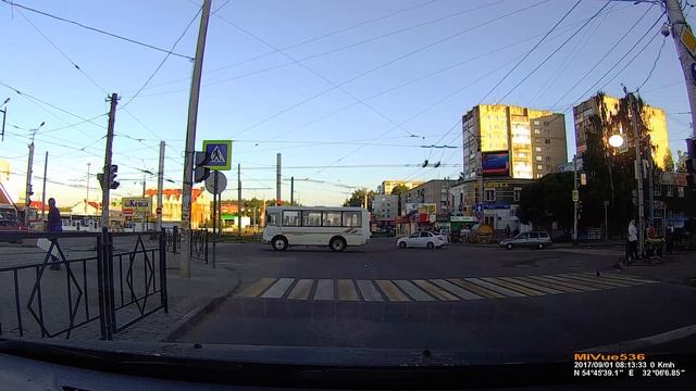 Смоленск, голубь пешеход.