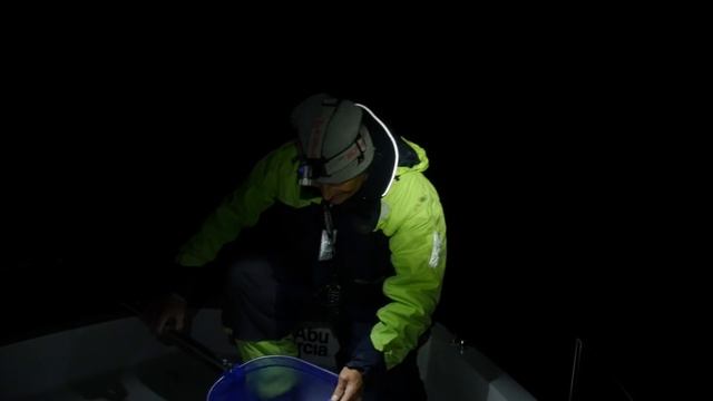 Alitta virens Børstemarkenes konge