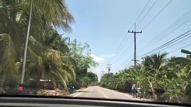 просто день, природа, дорога. ч.3 пальмы, солнечно. самут сонгкрам samut songkhram สมุทรสงคราม