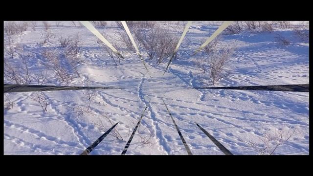 ТУНДРА В ФЕВРАЛЕ. ВОРКУТА.