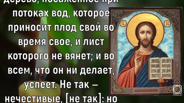 СЕГОДНЯ ОБЯЗАТЕЛЬНО ПОБЛАГОДАРИ БОГА ЗА ВСЕ
