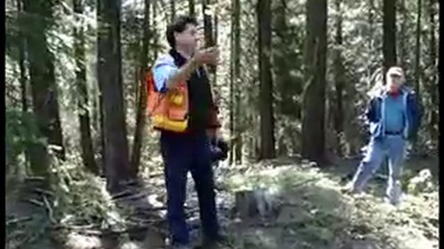 Spotted Owl Call