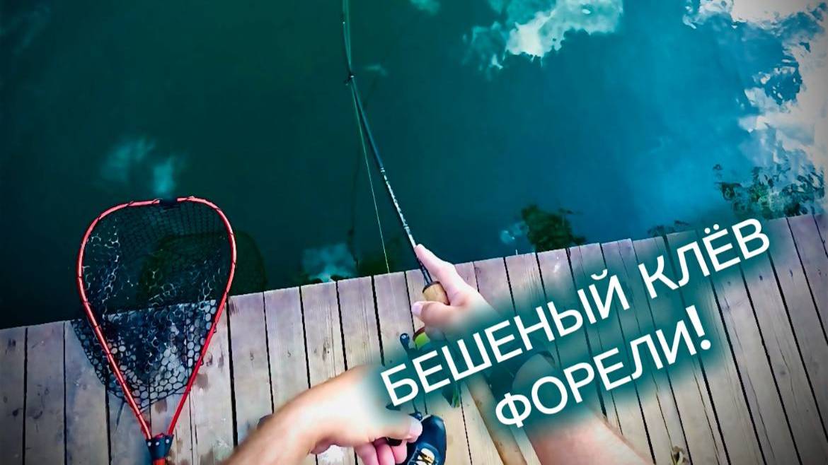 ФОРЕЛЬ КЛЮЁТ КАК БЕШЕНАЯ!!! ЛОВЛЯ В «ПАРУС СЕВЕР»