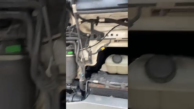 VID-20230731-WA0055