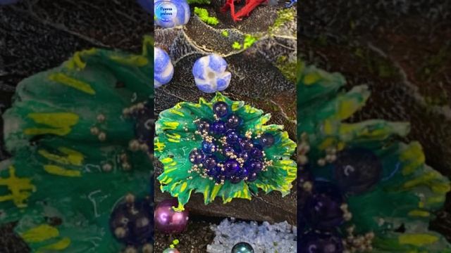 VID_20230420_232353_991.mp4