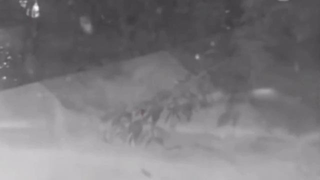 Ничего и никогда