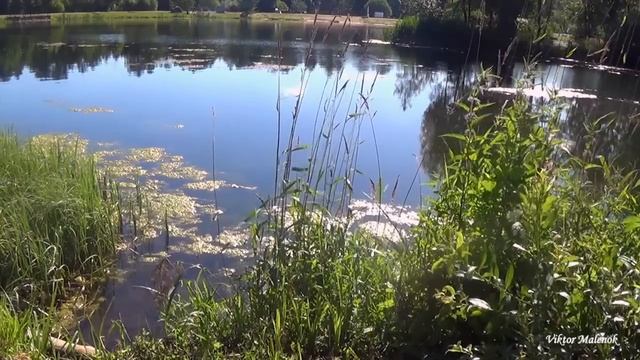 Meditation for the soul and for relaxation, beautiful sounds of singing Tibetan bowls | Morning