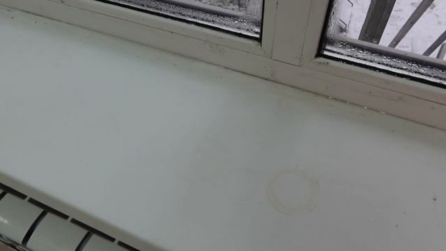 Долгожданная уборка в зимнем саду! Зимний сад больше не прихожая!