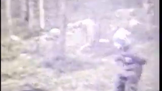 1989 Мурманск лес