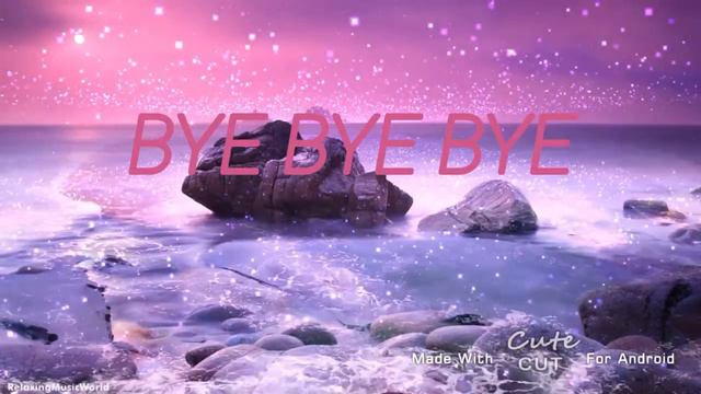 BYE BYE BYE meme