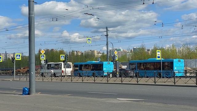 МАЗ-206 два автобуса на светофоре. Дикое гудение