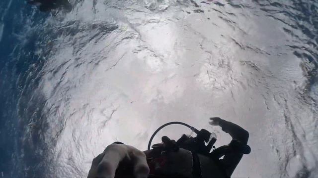 【与那国ダイビング】ダイバーの聖地！海底遺跡とハンマーヘッドシャーク