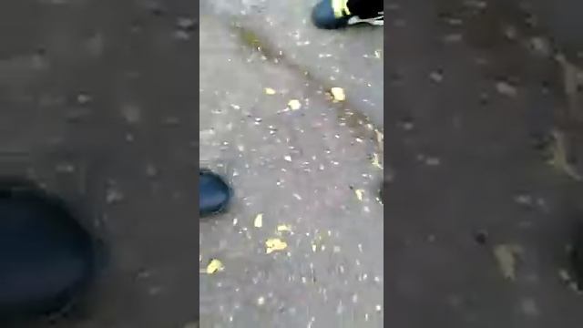 Чипсы с пола