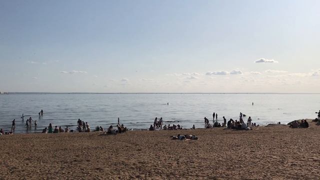 На берегу финского залива