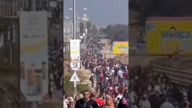 Рафах_ Эвакуация палестинцев в никуда перед еврофашистской операцией...