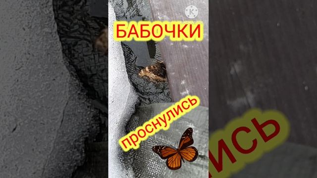 Весна пришла!!!!