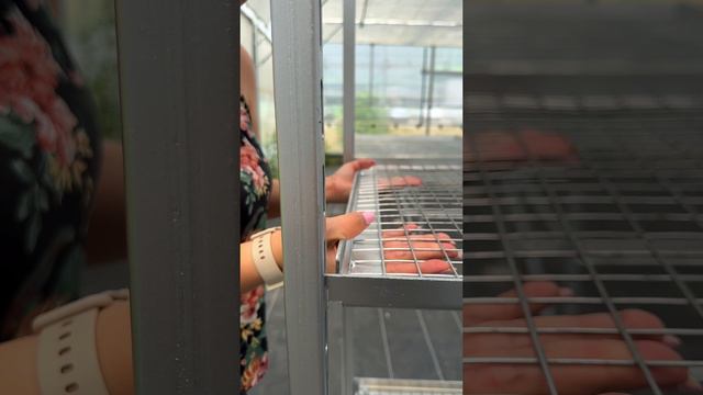 Евро тролль - стеллаж для выращивания и транспортировки растений