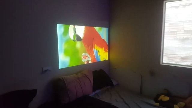 Projetor NEC V260X