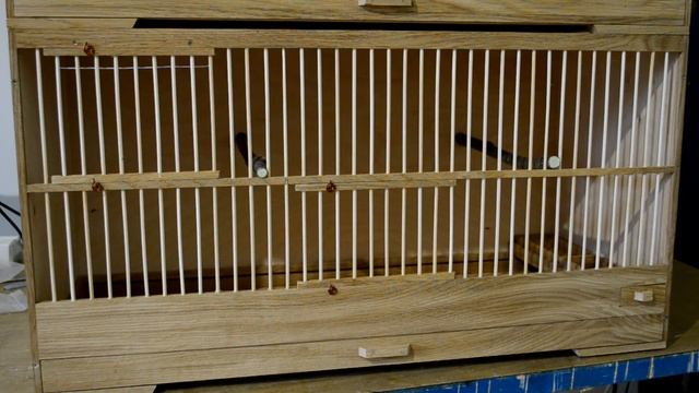Боксы для насекомоядной птицы.