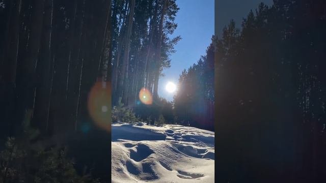 Шалаш парк в Абзаково