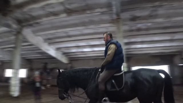 Тренировка по верховой езде на английском языке. English riding lesson.