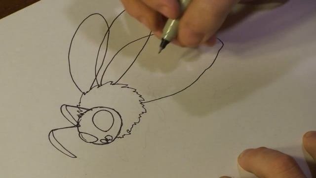 How to Draw Animals : How to Draw a Honey Bee