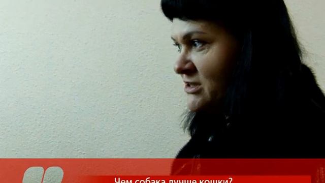 Чем собака лучше кошки? (Братск)