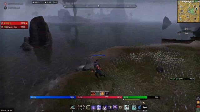 The Elder Scrolls Online кОлЬЦо БЛЕДНОГО ордена пробуем
