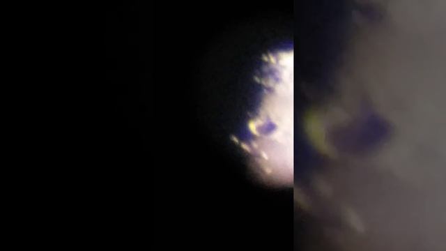 First lune video