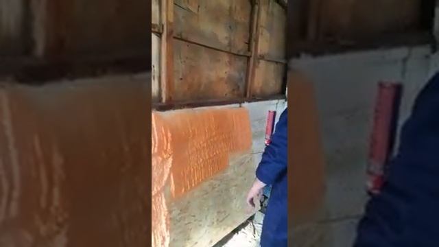 VID 20141205 WA0004