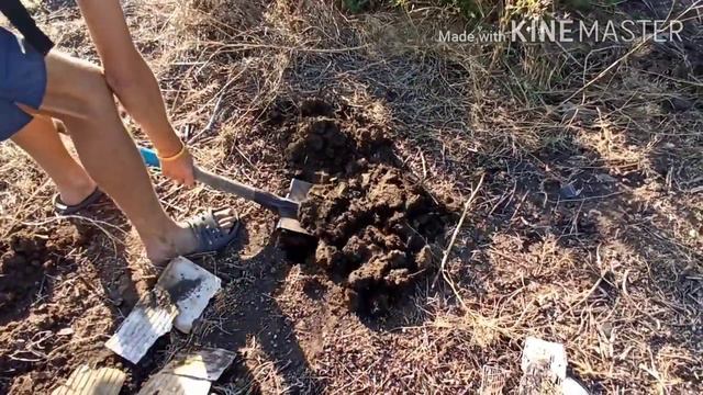 В поисках старины!  Пытаюсь найти старинные вещи!