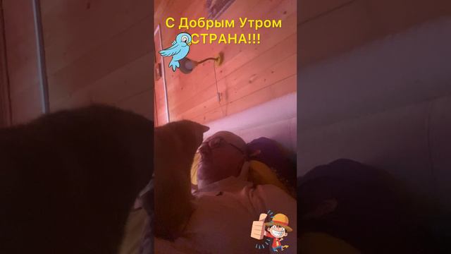 Доброе Утро!!!