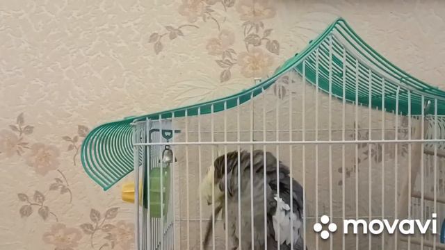 Кому в Казани жить хорошо?