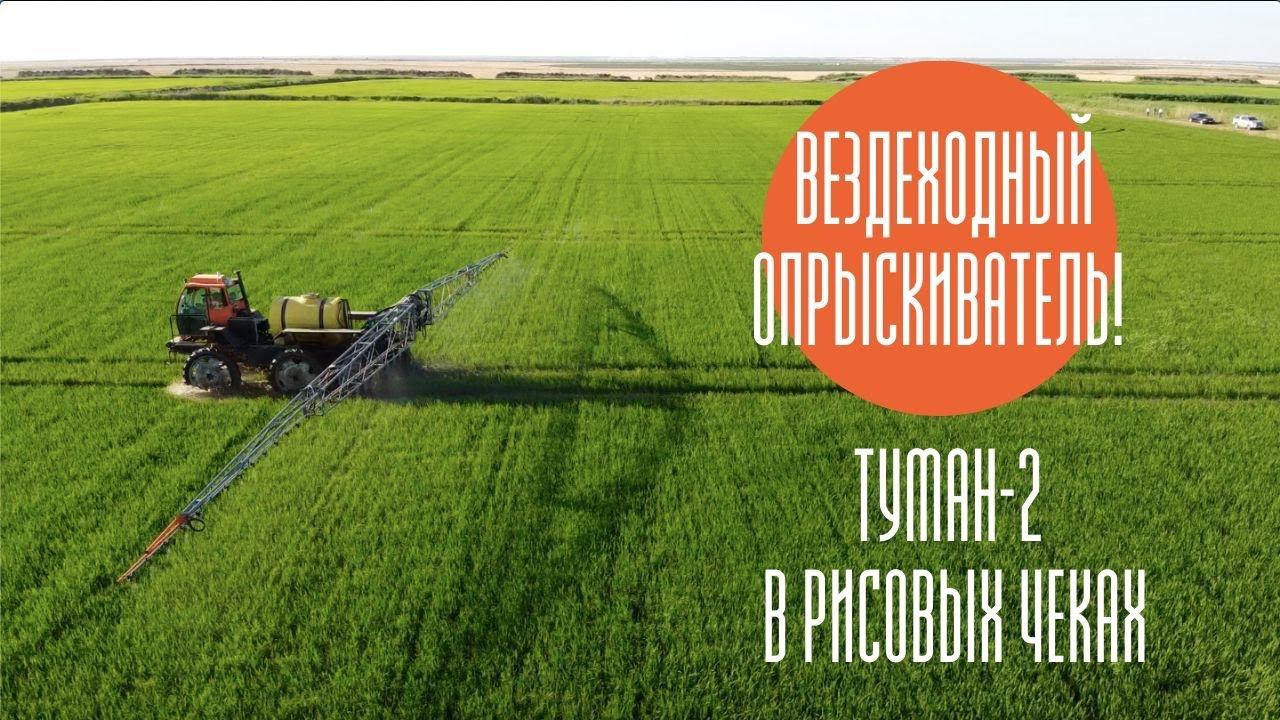 Вездеходный опрыскиватель! Туман-2 в рисовых чеках