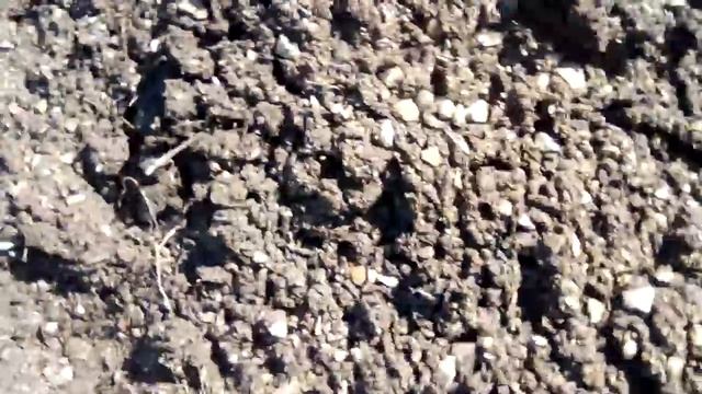 Нас попросили снять видео как мы ходим по грязи и застряли