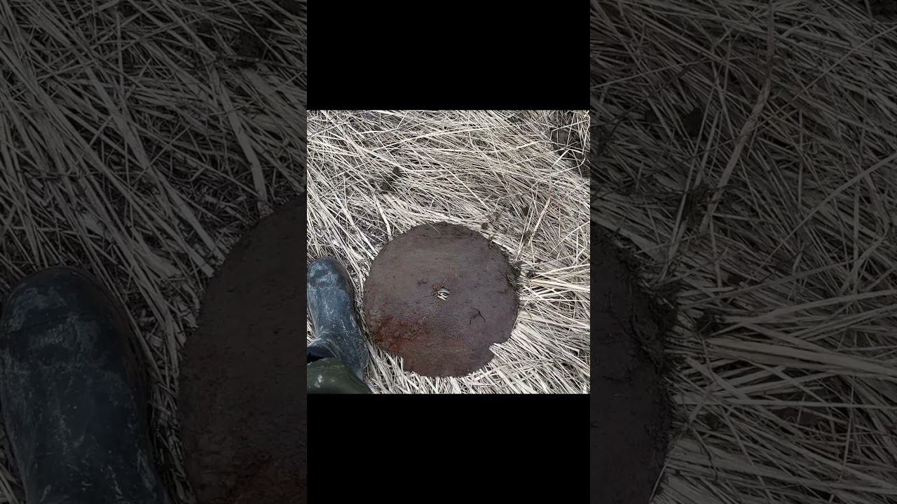 МЕГА КОНИНА!!!Приколы на копе, ржака, осторожно МАТ 18+ #металлоискатель #metaldetecting #коп