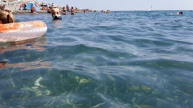 Если любишь Чёрное море...