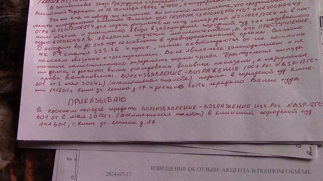 Подача ВОЛЕИЗЪЯВЛЕНИЕ-ВОЗРАЖЕНИЕ по делу №2-1021/24 . Приказ, Оферта, назначение ответственных