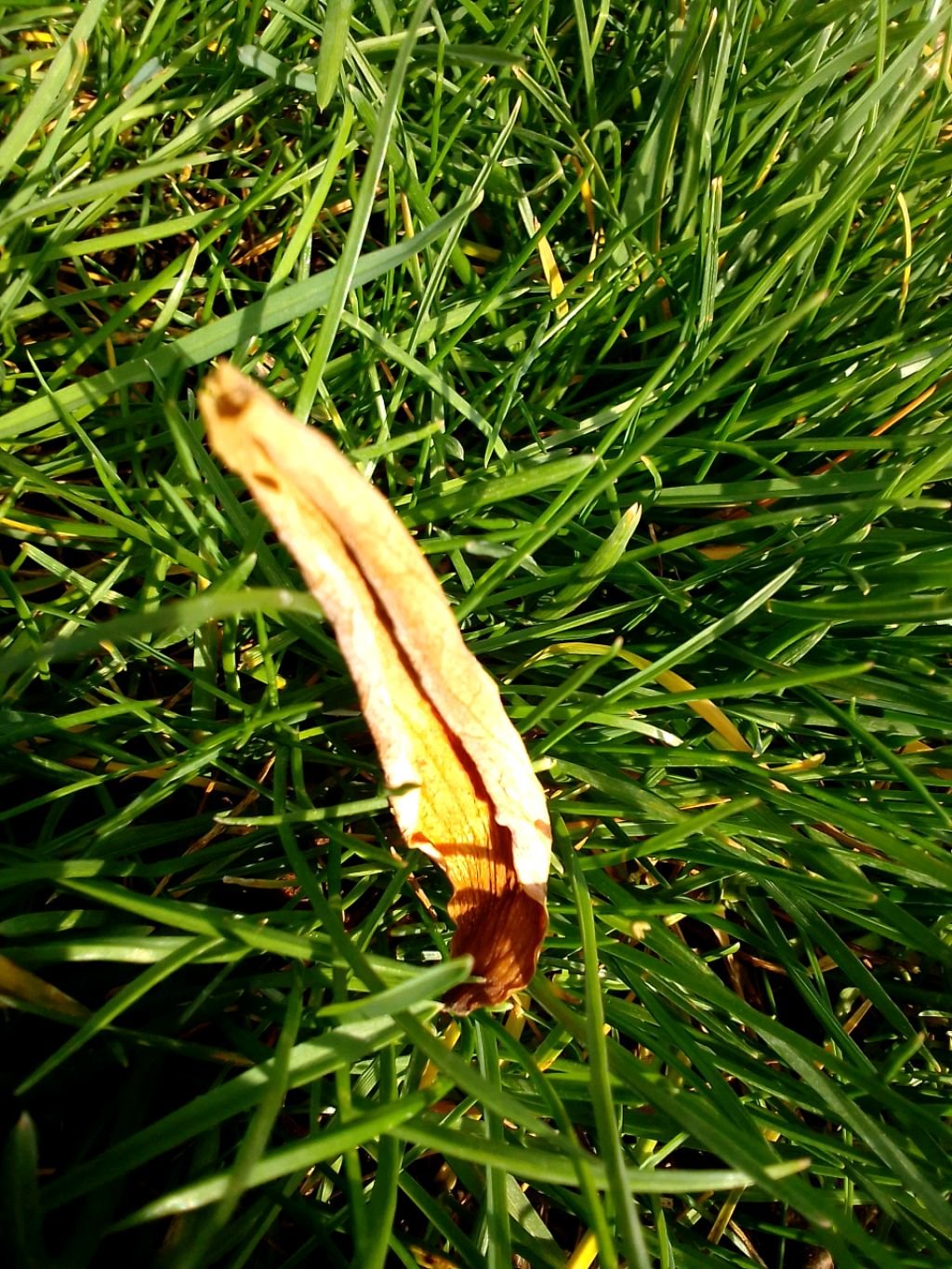 прохожу уравни в разных играх