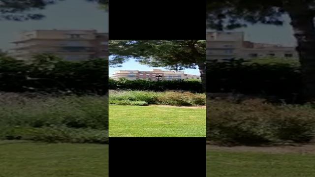 2023-07-30-143637279.mp4