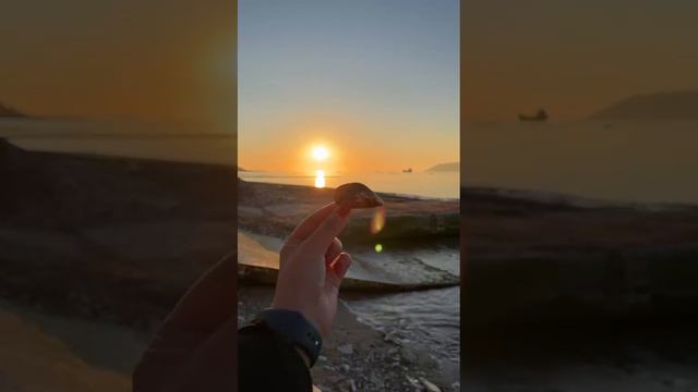 Ракушки мидий на закате