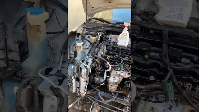 Murano 2006 alternador