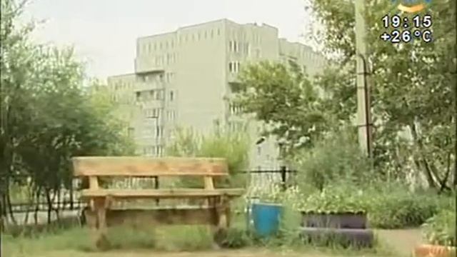 Жители дома обустроили двор