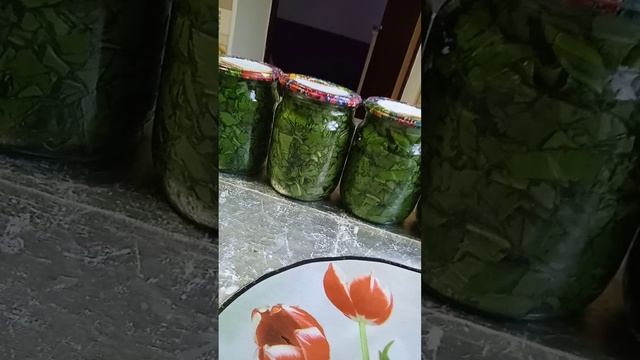 щавель на зиму в банках