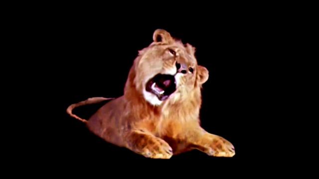Leo The Lion Footage (2008)